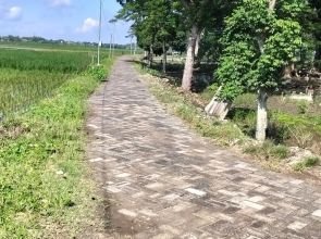 Diduga Paving Bekas Dipasang, Proyek Jalan Makam Desa Mori Anggaran Ratusan Juta Jadi Pertanyaan!