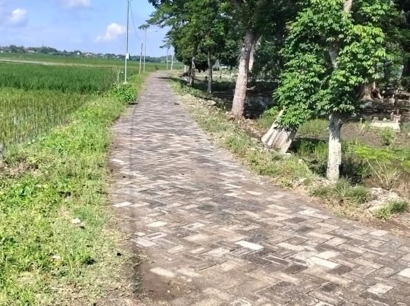 Diduga Paving Bekas Dipasang, Proyek Jalan Makam Desa Mori Anggaran Ratusan Juta Jadi Pertanyaan!