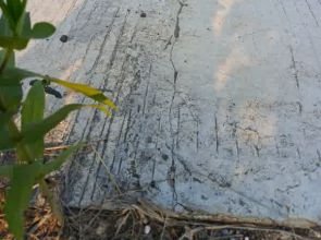 Jalan BKKD Tapelan Ngraho Mulai Retak, Kualitas Pekerjaan di Pertanyakan